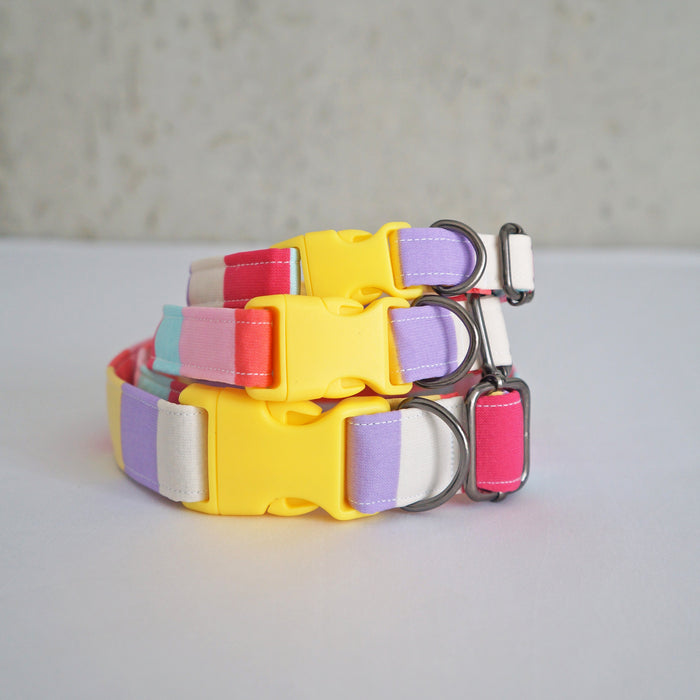 Candy Land Dog Collar