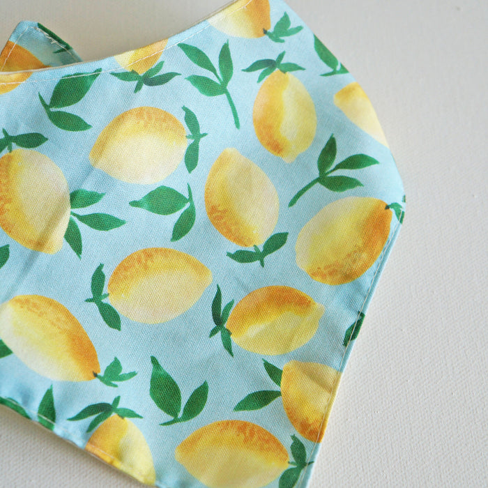 Lemons Pet Bandanas