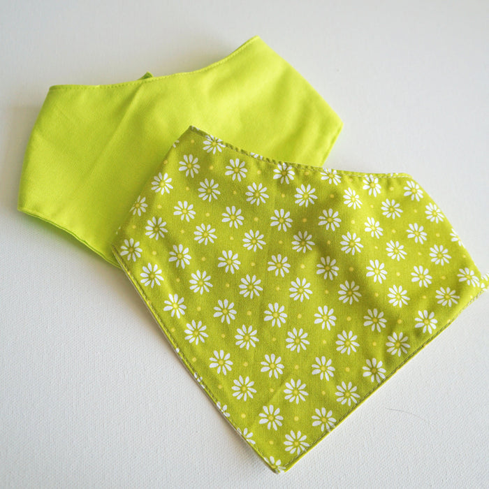 Lime Daisy Pet Bandanas