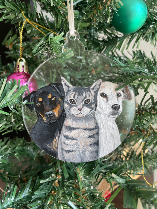 Custom Pet Ornaments