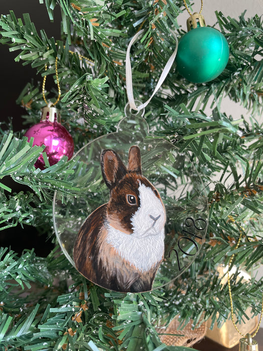 Custom Pet Ornaments