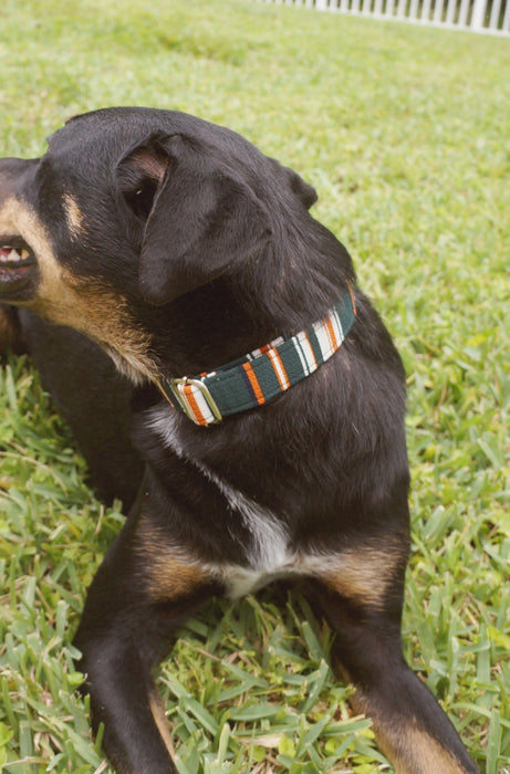 Forest Stripe Dog Collar