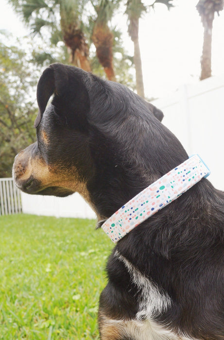 Blue Spring Dog Collar
