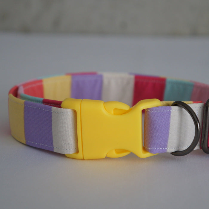 Candy Land Dog Collar