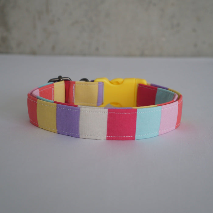 Candy Land Dog Collar