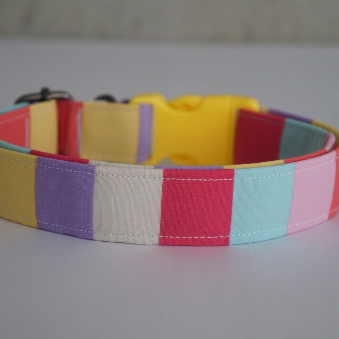 Candy Land Dog Collar