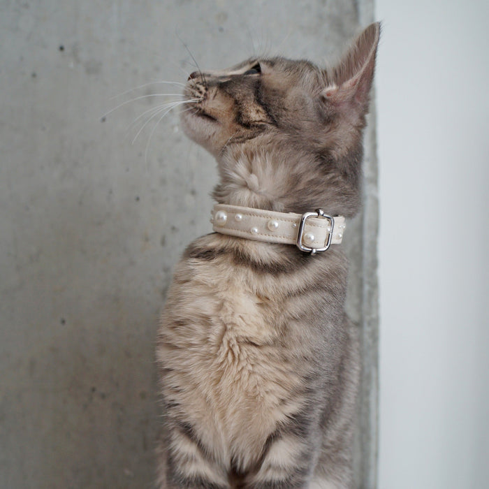 Pearl Beige Cat Collar