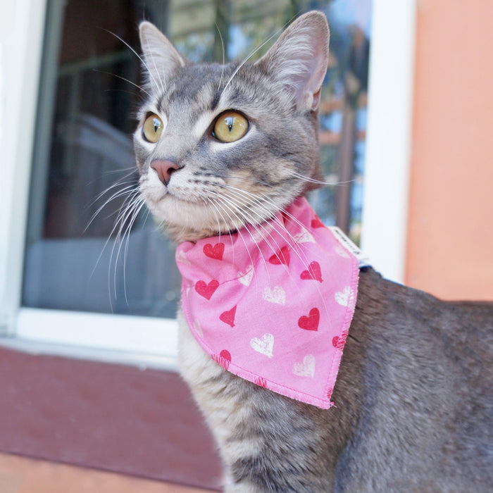 Pink Heart Pet Bandanas